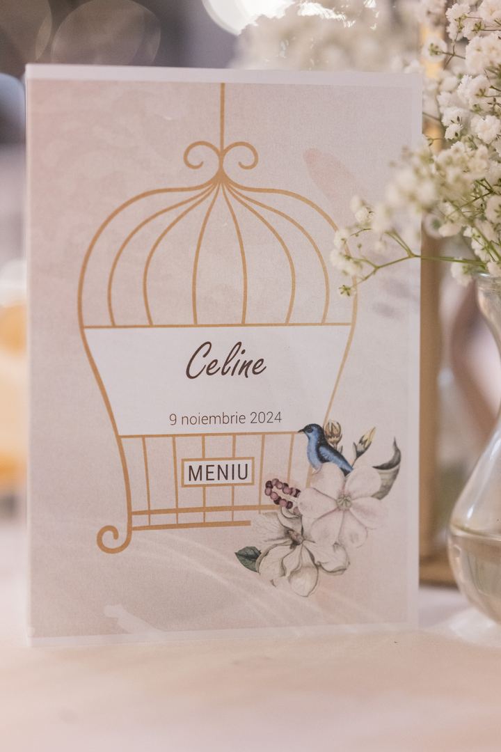 Detalii de botez — Demeter Studios