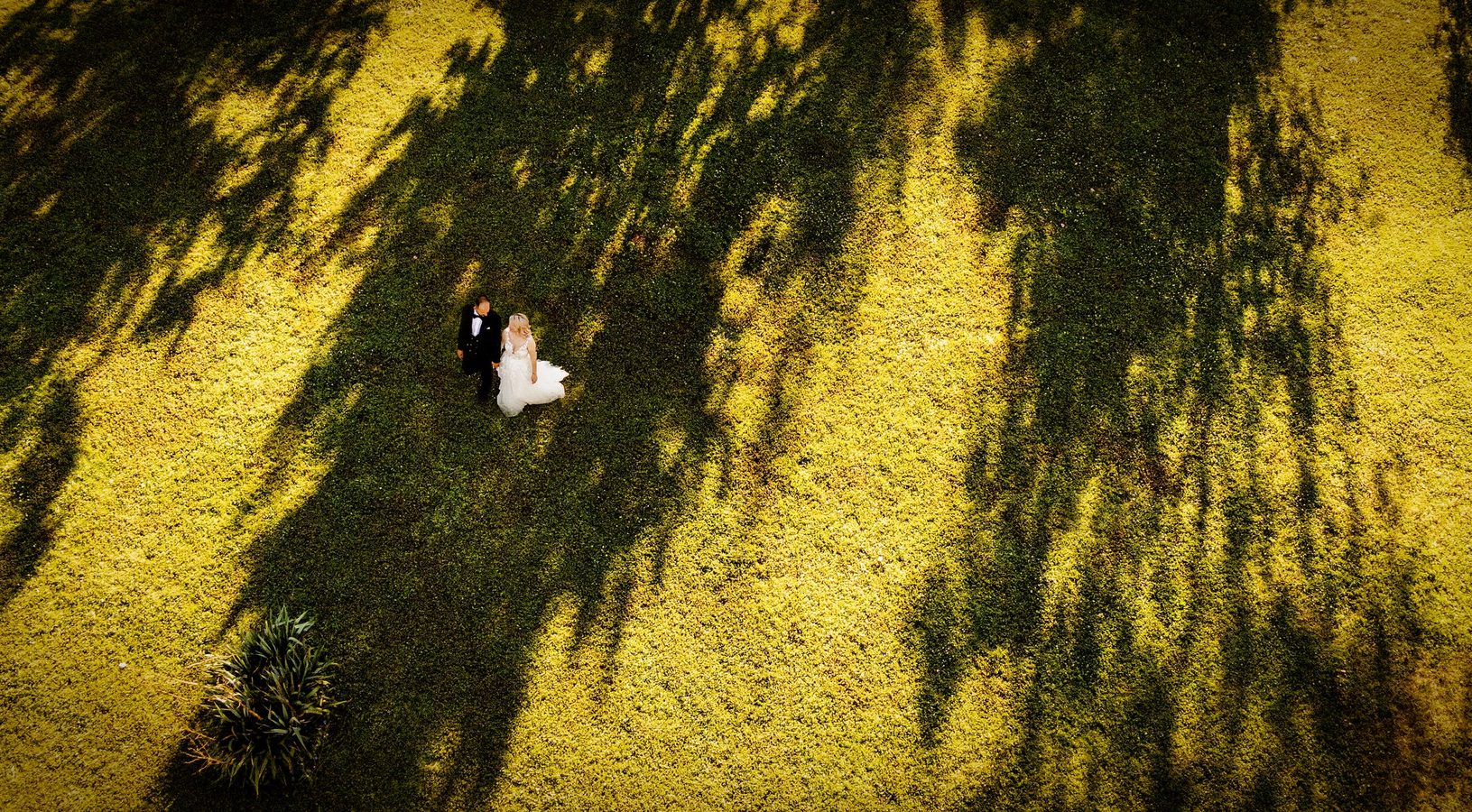 Fotografie de nuntă Demeter Studios